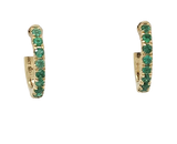 337589.PNG