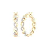 EF13975-Y-3.PNG